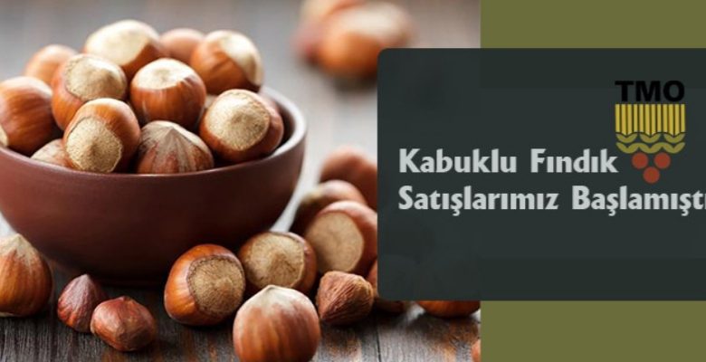 TMO Fındık Satacak
