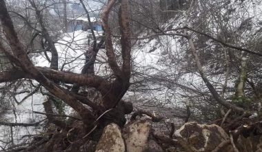 Çamaş’ta Heyelan