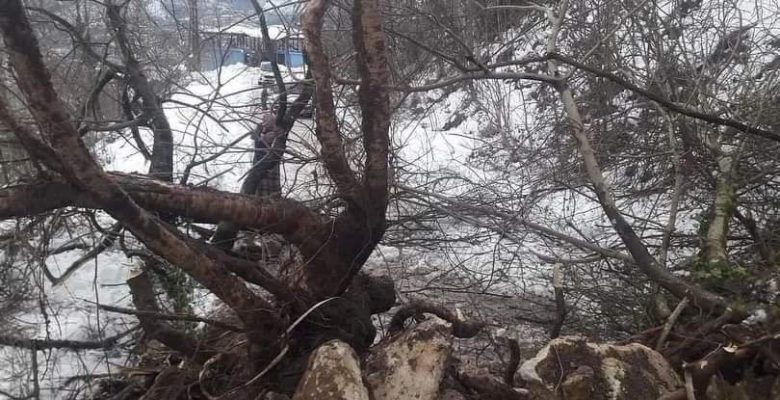 Çamaş’ta Heyelan