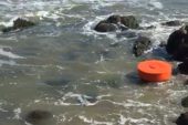 Ordu Kıyılarında Deniz Mayını Paniği