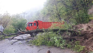 AYBASTI’DA HEYELAN