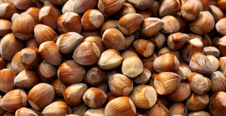 CUMHURBAŞKANI FINDIK FİYATINI AÇIKLADI