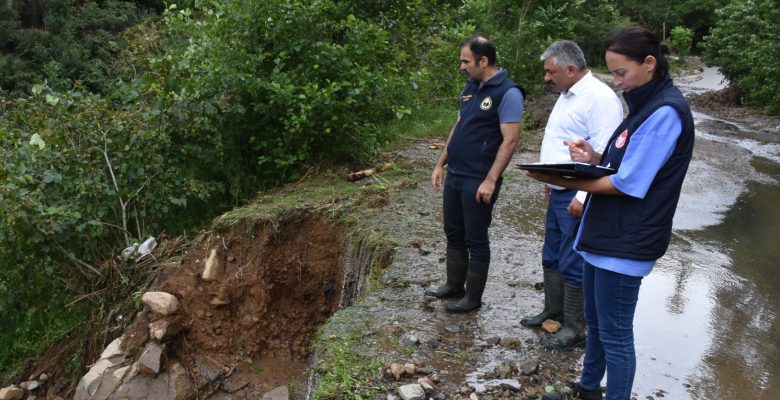 FINDIK BAHÇELERİNDE HASAR TESPİT ÇALIŞMASI BAŞLATILDI