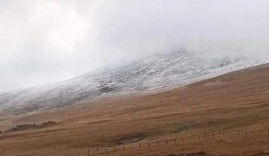 ORDU’YA YILIN İLK KARI YAĞDI
