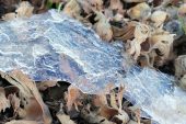 FINDIĞIN ÜSTÜ HARMANDA BUZ TUTTU