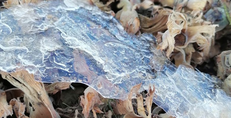 FINDIĞIN ÜSTÜ HARMANDA BUZ TUTTU