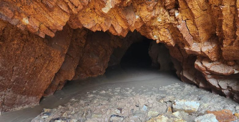 FATSA’DA BULUNAN MAĞARA İNCELENDİ, SUNUÇ AÇIKLANDI