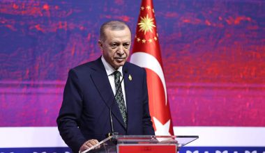 ERDOĞAN SOKAK KÖPEKLERİ İLE İLGİLİ TALİMATI VERDİ