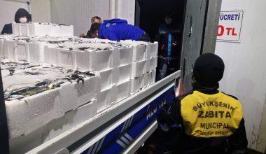 ORDU’DA BALIK TEZGÂHLARI DENETLENİYOR