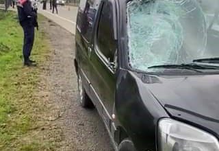 KÖPEKLERDEN KAÇARKEN CANINDAN OLDU