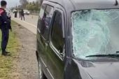 KÖPEKLERDEN KAÇARKEN CANINDAN OLDU