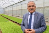 ORDU´NUN FİDELERİ BU SERALARDA ÜRETİLİYOR