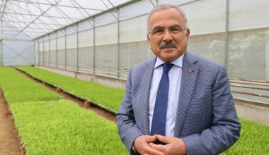 ORDU´NUN FİDELERİ BU SERALARDA ÜRETİLİYOR