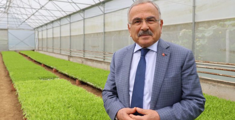 ORDU´NUN FİDELERİ BU SERALARDA ÜRETİLİYOR