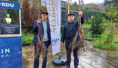 ALTINORDU’YA NEFES 300 BİN FİDAN TOPRAKLA BULUŞTU