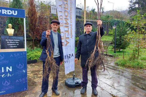 ALTINORDU’YA NEFES 300 BİN FİDAN TOPRAKLA BULUŞTU