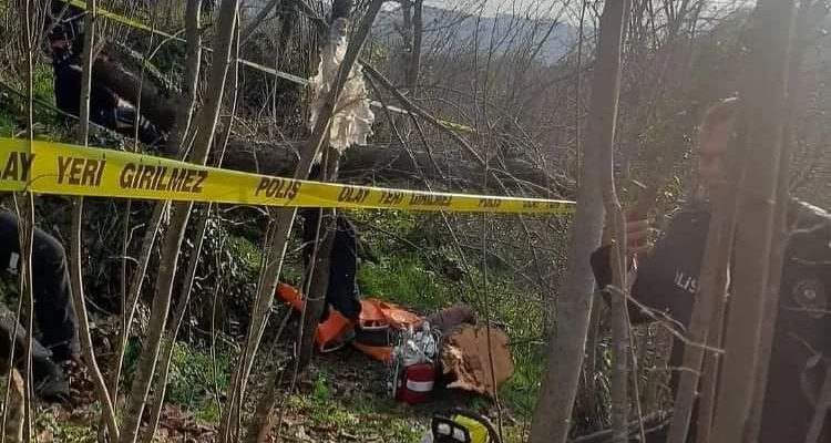 ÜZERİNE AĞAÇ DÜŞTÜ, CANINDAN OLDU