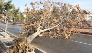 METEOROLOLİ’DEN ORDU İÇİN ŞİDDETLİ RÜZGAR UYARISI