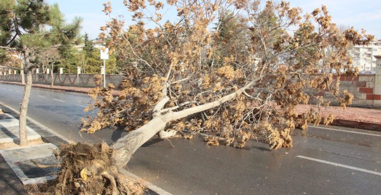 METEOROLOLİ’DEN ORDU İÇİN ŞİDDETLİ RÜZGAR UYARISI