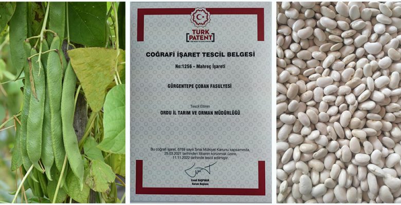 GÜRGENTEPE ÇOBAN FASULYESİ TESCİLLENDİ