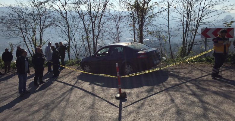 ÜNYE’DE OTOMOBİLİNİN İÇİNDE CANINA KASTETTİ