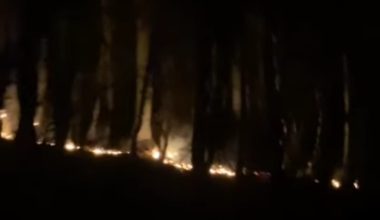 KORGAN’DA ORMAN YANGINI ÇIKTI