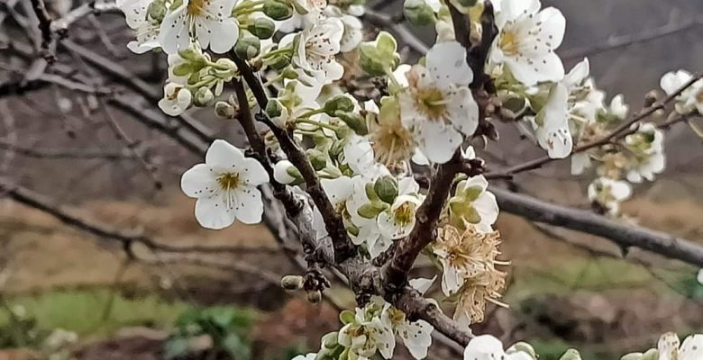 YOK ARTIK! BU FOTOĞRAF BUGÜN ÇEKİLDİ