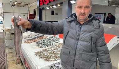 ORDU’DA YARIM KİLOLUK MEZGİT YAKALADILAR