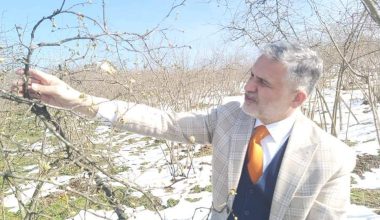 BU GİDİŞLE ZİRAİ DON KAPIDA! BAŞKAN AKÇA UYARDI