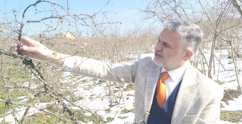 BU GİDİŞLE ZİRAİ DON KAPIDA! BAŞKAN AKÇA UYARDI