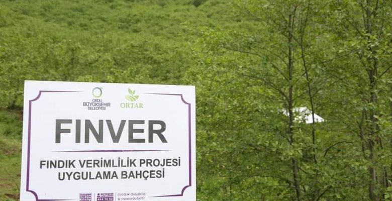 OBB ORTAR FINDIK BAHÇELERİNİN SİGORTALATTI