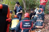 ÜNYE’DE KESTİKLERİ AĞACIN ALTINDA KALDILAR