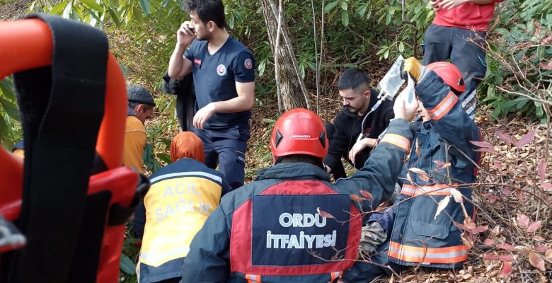 ÜNYE’DE KESTİKLERİ AĞACIN ALTINDA KALDILAR
