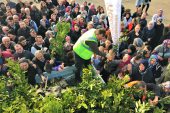 ALTINORDU BELEDİYESİ 341 BİN FİDANI TOPRAKLA BULUŞTURDU