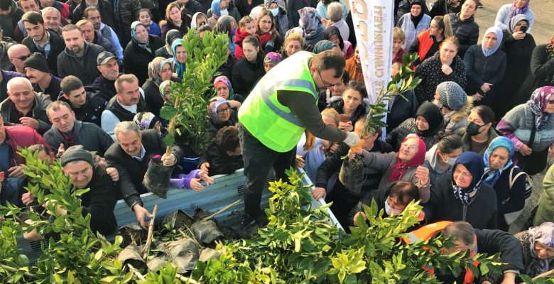 ALTINORDU BELEDİYESİ 341 BİN FİDANI TOPRAKLA BULUŞTURDU