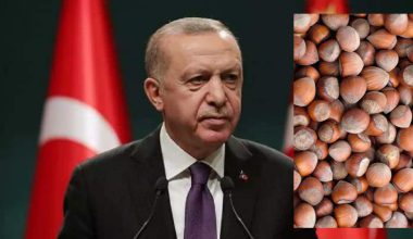ERKEN SEÇİM NEDENLERİ ARASINDA FINDIĞI DA GÖSTERDİ ERKEN SEÇİM NEDENLERİ ARASINDA FINDIĞI DA GÖSTERDİ