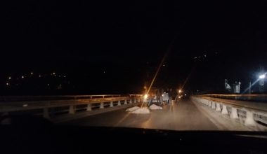 ORDU’DA ARAÇ KOYUN SÜRÜSÜNE DALDI