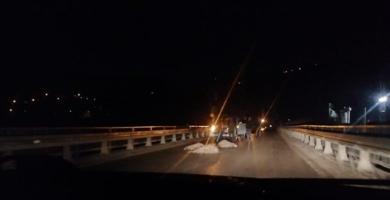 ORDU’DA ARAÇ KOYUN SÜRÜSÜNE DALDI