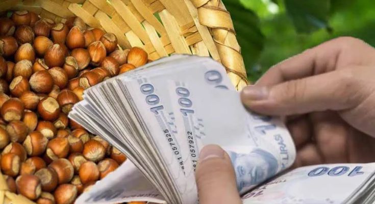 ALAN BAZLI DESTEK ALACAK OLANLAR İÇİN ÖNEMLİ ÇAĞRI