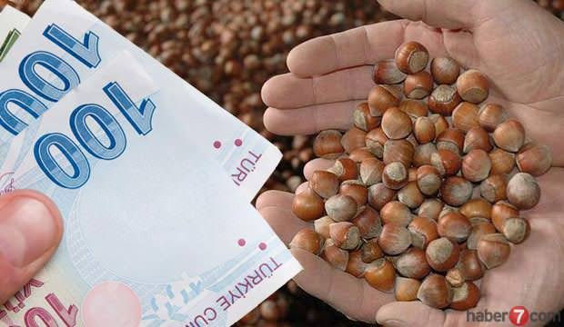 ALAN BAZLI GELİR DESTEĞİ İÇİN HALA ZAMAN VAR! MÜCADELE SÜRMELİ