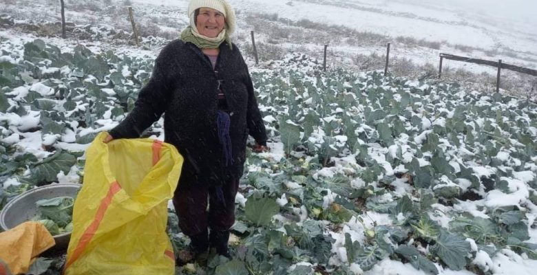 PANCAR ÇORBASI ARTIK DAHA LEZZETLİ OLACAK
