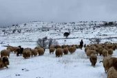 SON KALANLAR DA GÖÇE BAŞLADI