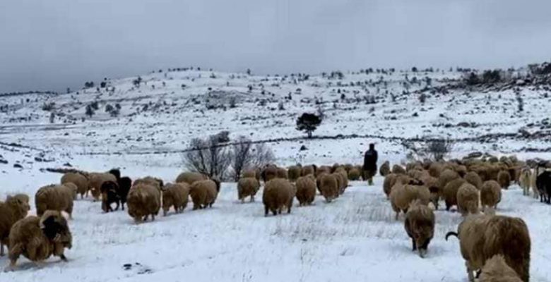 SON KALANLAR DA GÖÇE BAŞLADI