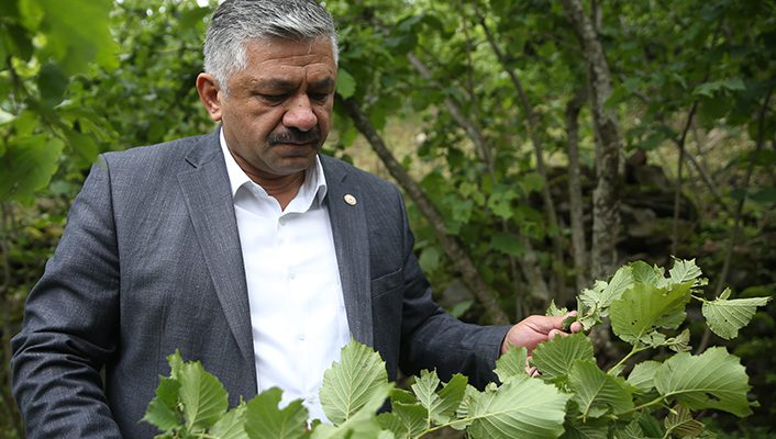 FINDIĞIN KADERİ TMO’NUN ELİNDE!