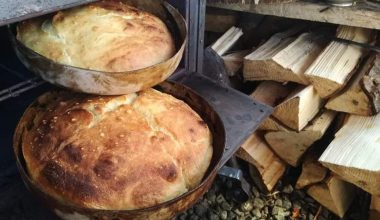 GİDECEKLER VE DÜŞÜNENLER İÇİN YAYLA BİLGİSİ