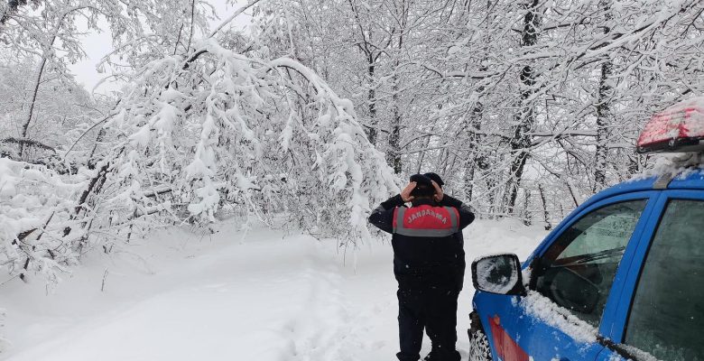 FATSA’DA AĞAÇLAR YOLLARI KAPATTI
