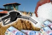MAZOT VE GÜBRE DESTEĞİ HESAPLARA YATIYOR