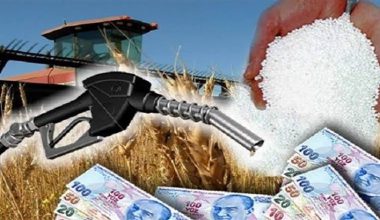 MAZOT VE GÜBRE DESTEĞİ HESAPLARA YATIYOR