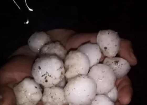 CEVİZ BÜYÜKLÜĞÜNDE KAR GİBİ DOLU YAĞDI (video)