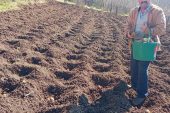 ORDU’DA EKİMİ BAŞLADI